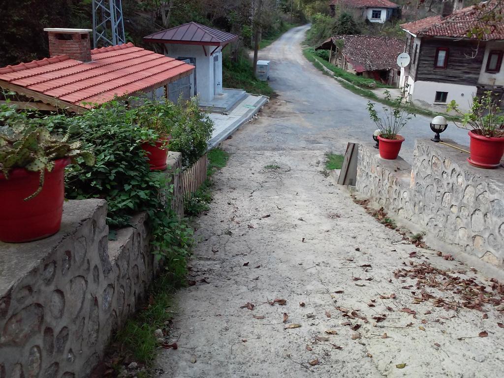 Ekoland Hotel Ağva Dış mekan fotoğraf