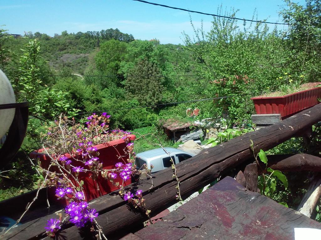 Ekoland Hotel Ağva Dış mekan fotoğraf