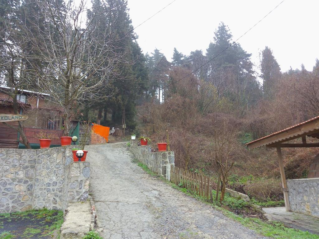 Ekoland Hotel Ağva Dış mekan fotoğraf