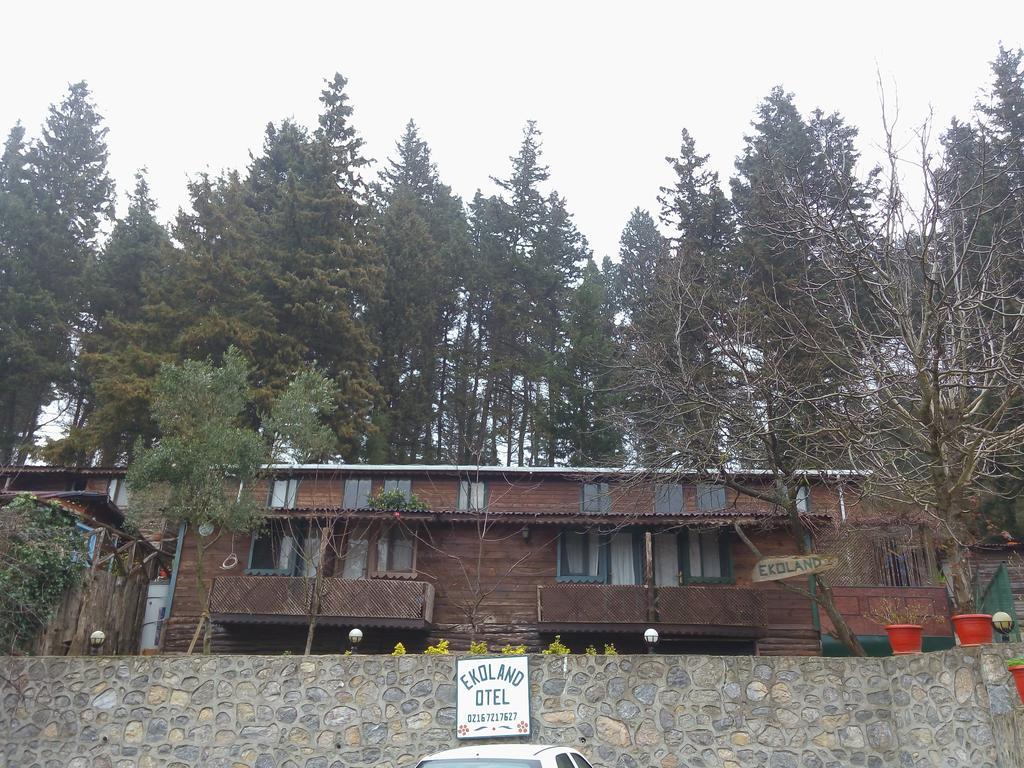 Ekoland Hotel Ağva Dış mekan fotoğraf