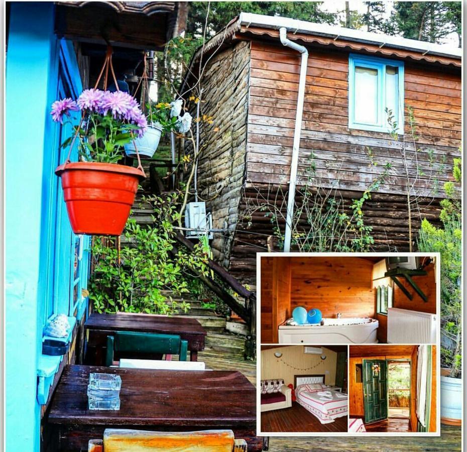 Ekoland Hotel Ağva Dış mekan fotoğraf