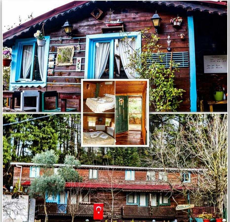 Ekoland Hotel Ağva Dış mekan fotoğraf
